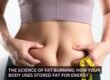 The Science of Fat Burning