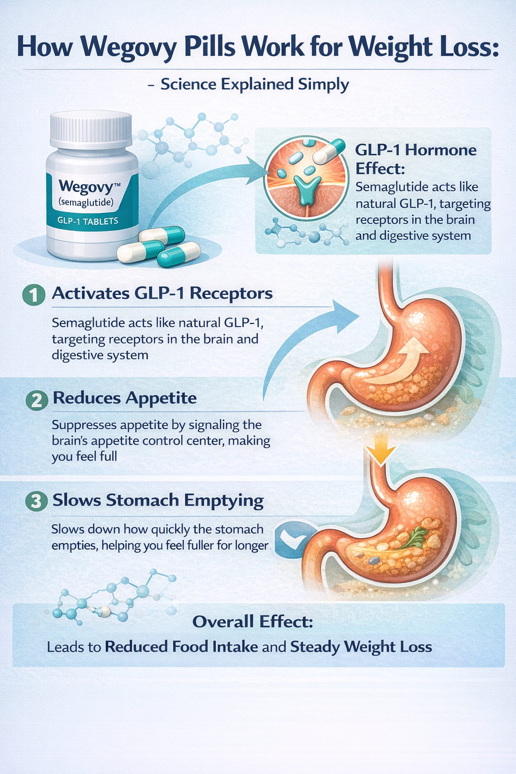 How Wegovy Pills Work for Weight Loss: