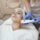 IPL for sunspots